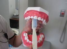 歯の磨き方_04